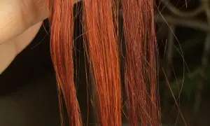 Chevelure rousse, une main tient des mèches. Découvrez comment enlever du henné en quelques minutes pour retrouver votre couleur naturelle.
