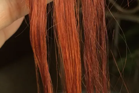 Chevelure rousse, une main tient des mèches. Découvrez comment enlever du henné en quelques minutes pour retrouver votre couleur naturelle.
