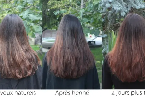 Chevelure brune avant, après le henné et 4 jours plus tard. Le henné a apporté une belle teinte cuivrée.