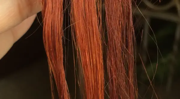 Chevelure rousse, une main tient des mèches. Découvrez comment enlever du henné en quelques minutes pour retrouver votre couleur naturelle.