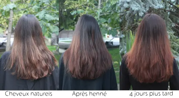 Chevelure brune avant, après le henné et 4 jours plus tard. Le henné a apporté une belle teinte cuivrée.