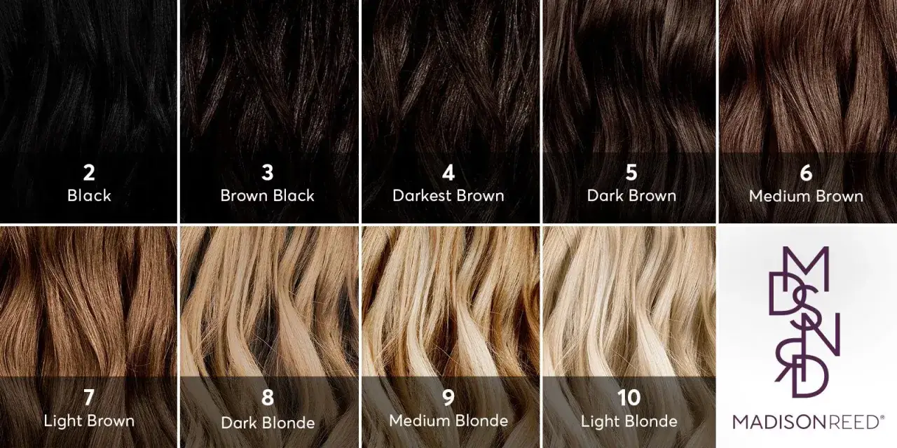 Échantillons de couleurs de cheveux, du noir au blond clair, pour vous aider à connaitre votre couleur de cheveux idéale.