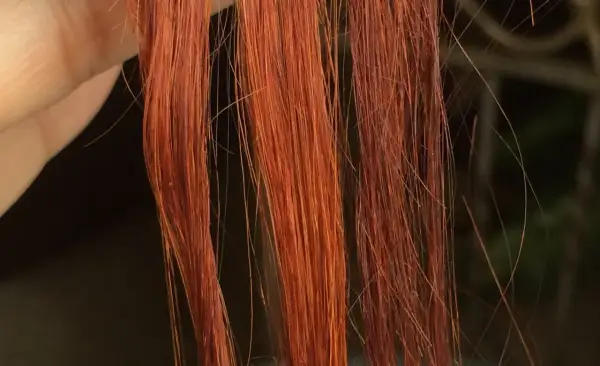 Chevelure rousse, une main tient des mèches. Découvrez comment enlever du henné en quelques minutes pour retrouver votre couleur naturelle.